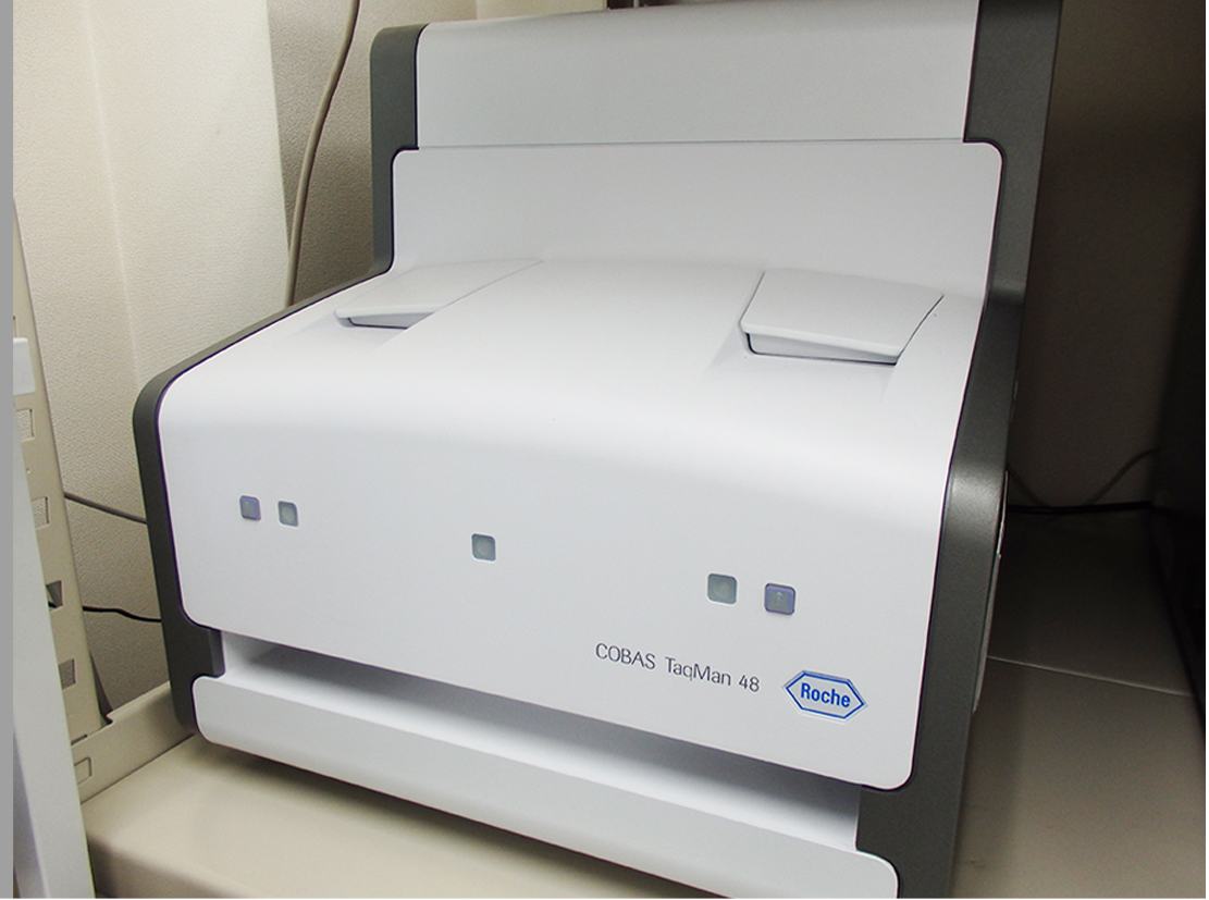 PCR分析装置:結核菌等の同定 